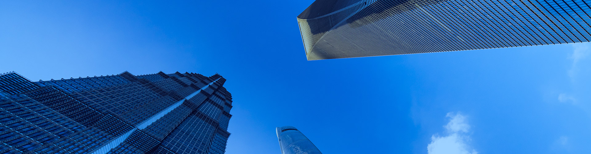 BBV网页版-公司简介